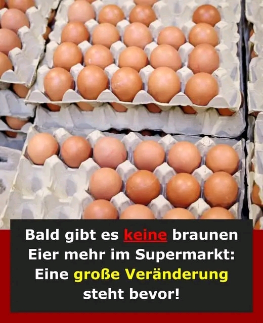 Braune Eier verschwinden bald aus deutschen Supermärkten –