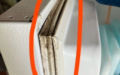 So entfernen Sie in wenigen Minuten schwarzen Schimmel von der Kühlschrankdichtung