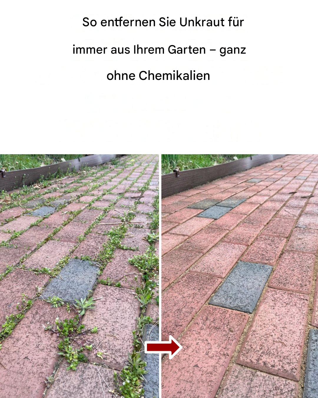 Wie man Unkraut dauerhaft und auf natürliche Weise loswird.